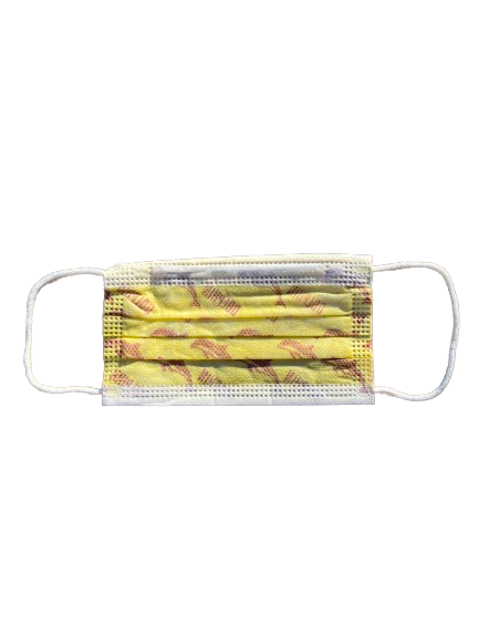 Kids Animal Print 3-Ply Disposable Face Mask (10-1,000 pack)